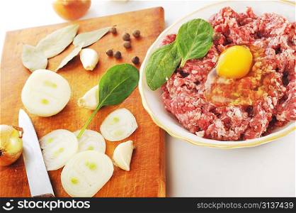Ingredients for homemade cutlet, ground beef and eggs