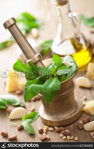 ingredients for pesto sauce