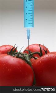 Injection into fresh red tomato