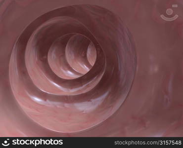 inner colon