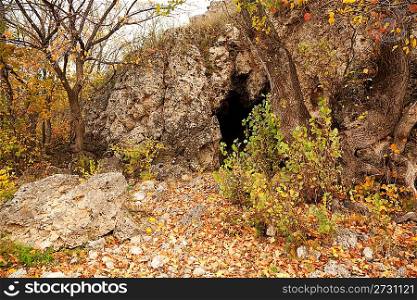 Input in cavern in autumnal park