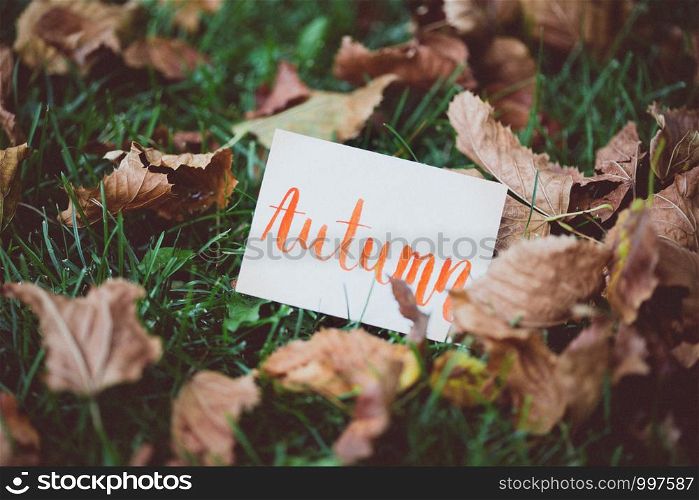 inscription autumn on the background of autumn foliage in the park
