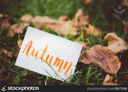 inscription autumn on the background of autumn foliage in the park
