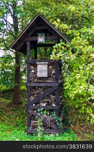 insect hotel. Wooden insect house