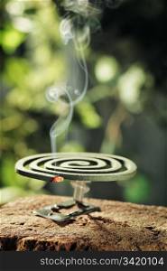 Insect repellent mosquito coil smoking.