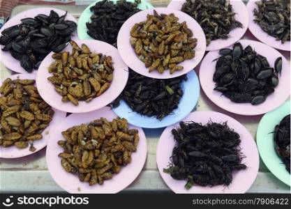 insects at the market in the city of Amnat Charoen in the Provinz Amnat Charoen in the northwest of Ubon Ratchathani in the Region of Isan in Northeast Thailand in Thailand.&#xA;