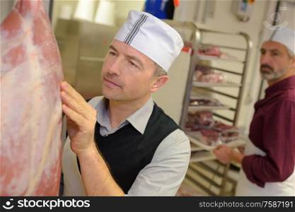 inspecting the hanged meat