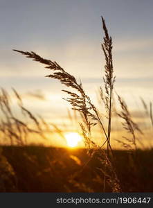 inspiring view morning light. High resolution photo. inspiring view morning light. High quality photo