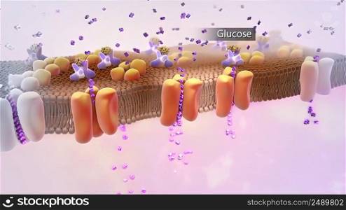 Insulin is a peptide hormone produced in the pancreas.mechanism of action of insulin, glucose, Human Insulin, structure of the molecul 3D illustration. mechanism of action of insulin, glucose, Human Insulin, structure of the molecul