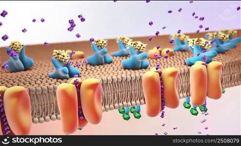 insulin receptors 3d medical illustration. insulin receptors 3d illustration