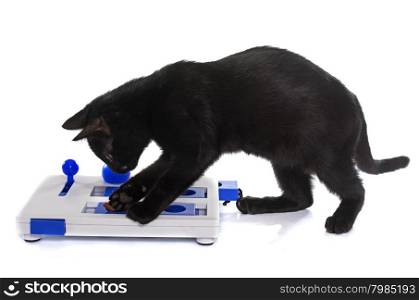 intelligent toy for cat in front of white background
