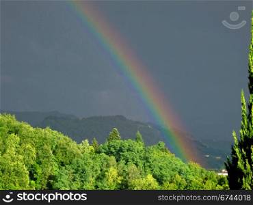 intense rainbow above forest. part of a intense rainbow above a forest in northern italy