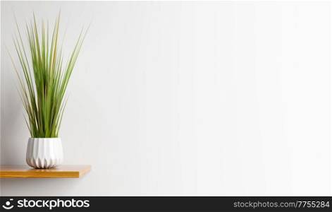 Interior design of living room with wooden shelf.  Wall decor with green grass in plant pot. White wall with copy space. Modern home decoration. Background template. 3d rendering