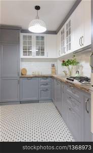 interior of modern luxury grey and white wooden kitchen. modern grey and white wooden kitchen interior
