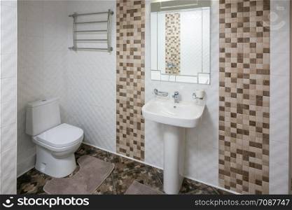 Interior of the spacious toilet room