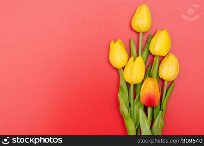 International Woman's Day with tulip flowers on red background