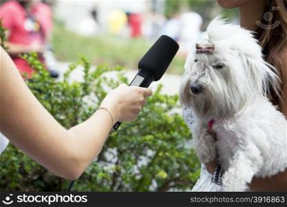 Interview with a microphone