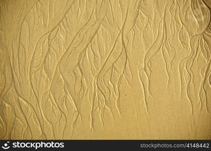 Intricate patterns form in the sand