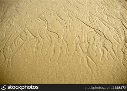 Intricate wave patterns form in the sand