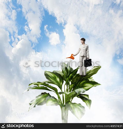 Invest to increase your incomes. Businesswoman with can watering green growing money tree