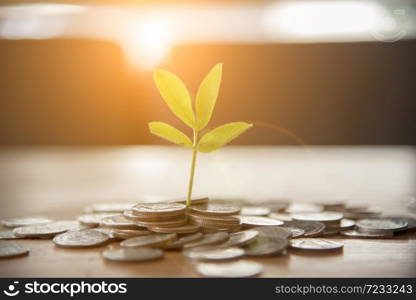 Investment Saving Money Concept. Financial growing plant money Gold coins stack symbol buy property mortgage money loan with stack of money coin. earning banking symbol financial grow concept.