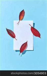 Invitation card from empty white paper sheet and four red colored autumn leaves with hard shadows and copy space. Flat lay.. Blank paper sheet with four red leaves and hard shadows.