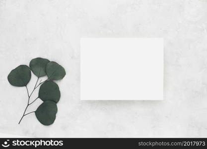 invitation card mockup with eucalyptus branch on beige background, . Flat lay, top view with copy space