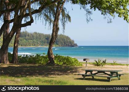 Inviting Tropical Park - Halalei Bay, Kauai, Hawaii. Inviting Tropical Park