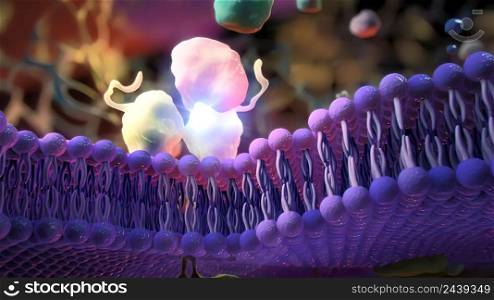 Ion channels in epithelial cells serve to move ions, and in some cases fluid, between compartments of the body. 3D illustration. Ion Channels in Epithelial Cells