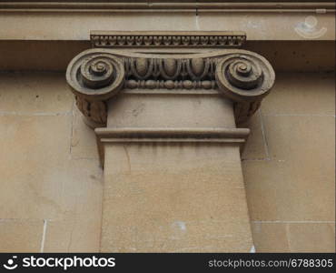 Ionic capital detail. Capital of the ancient Greek Ionic order