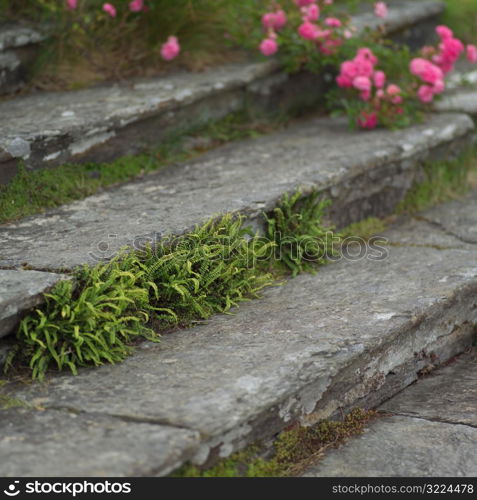 Ireland - Bantry House