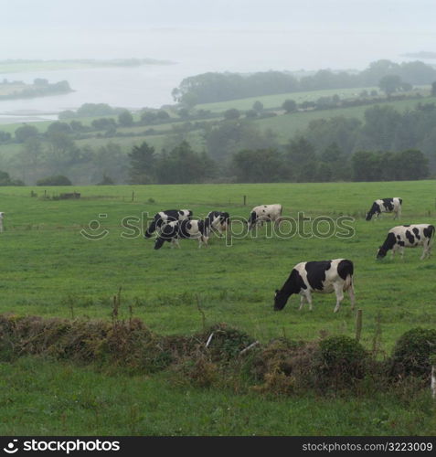 Ireland - countryside