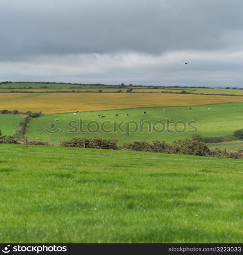 Ireland - countryside