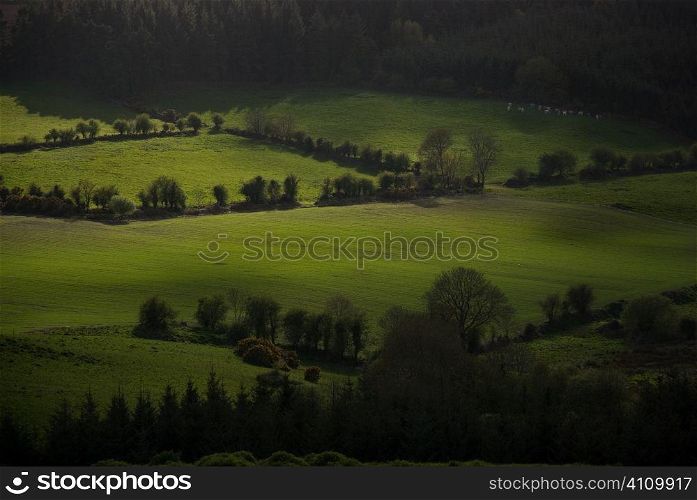 Ireland, County Cork farmland