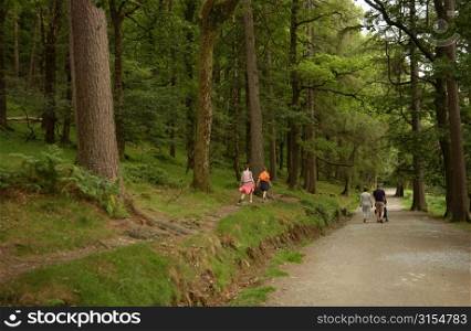 Ireland - people walking on path in Glendalough