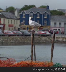 Ireland - Ring of Kerry