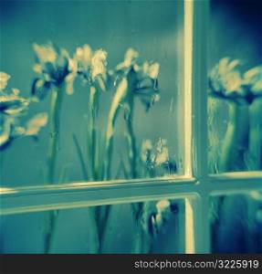 Irises Seen Through a Rainy Window