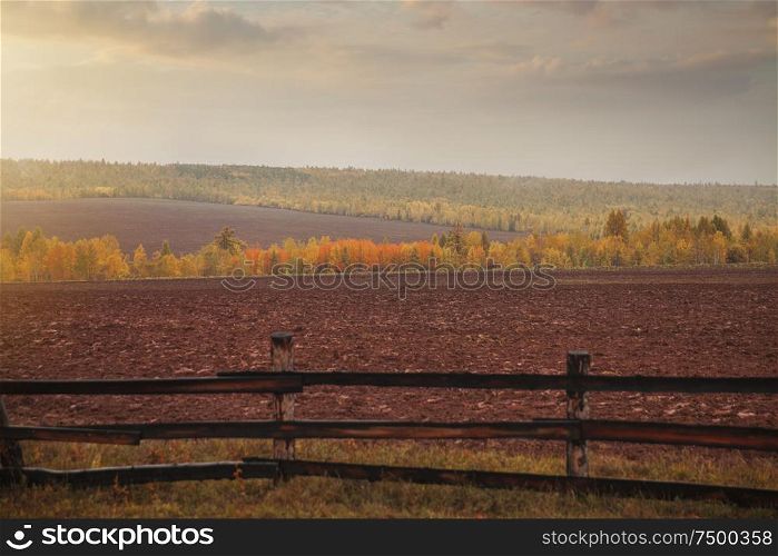 Irkutsk fields and forests. Landscapes of Russia
