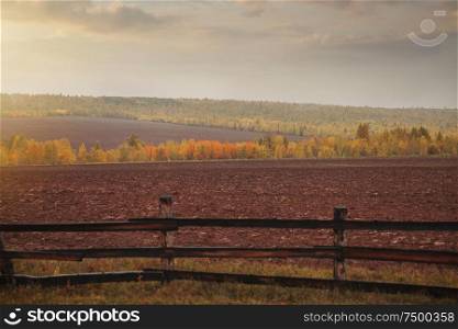 Irkutsk fields and forests. Landscapes of Russia