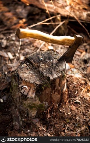 Iron axe stuck in log at forest