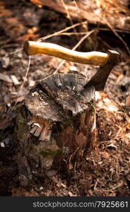 Iron axe stuck in log at forest