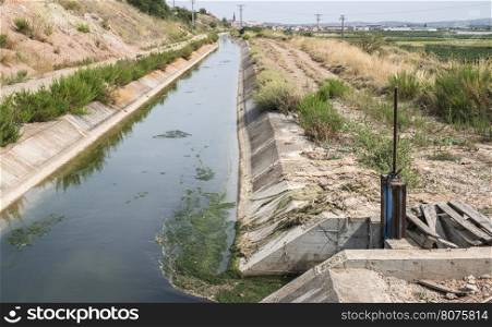 Irrigation canal and green plants
