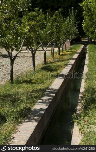 Irrigation canal into the garden