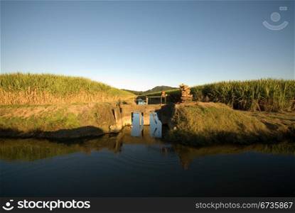 Irrigation canals in a sugar cane farm, Northern NSW, Australia