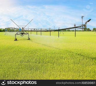 Irrigation system on wheels on wheat field. Agricultural technologies