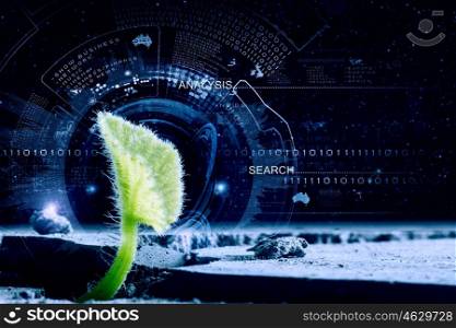 Is there life on moon. Green plant sprout growing from crack on moon surface