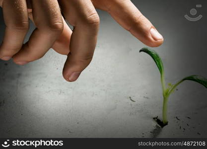 Is there life on moon. Green plant sprout growing from crack on moon surface