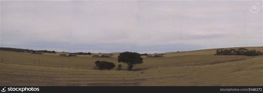 Is very dry out there. Panoramic View.