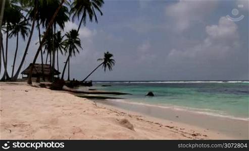 Isla Aguja, archipelago of San Blas islands, Panama, Central America. View of coconut palm trees on white sand beach. Nature, idyllic island, atoll, tropical paradise, sea, ocean, tropics, travel