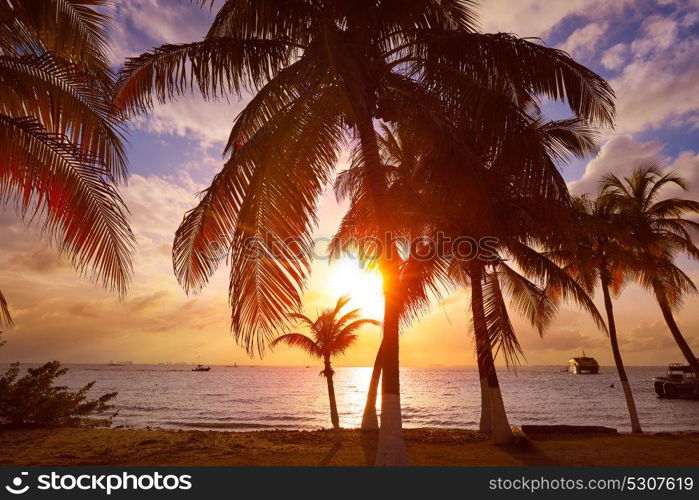 Isla Mujeres island Caribbean beach sunset palm trees Riviera Maya in Mexico